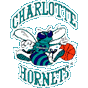 Charlotte Hornets Icon